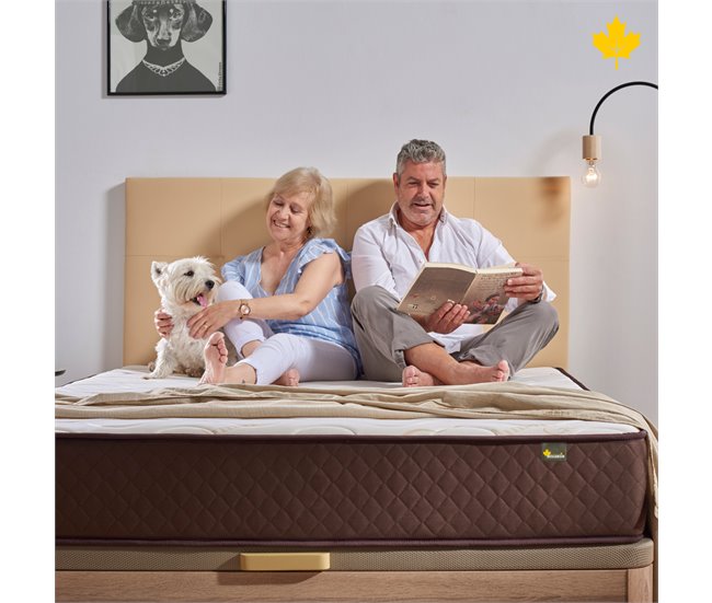 Pack Colchon + Cabecero Tapizado + Somier Descansin 