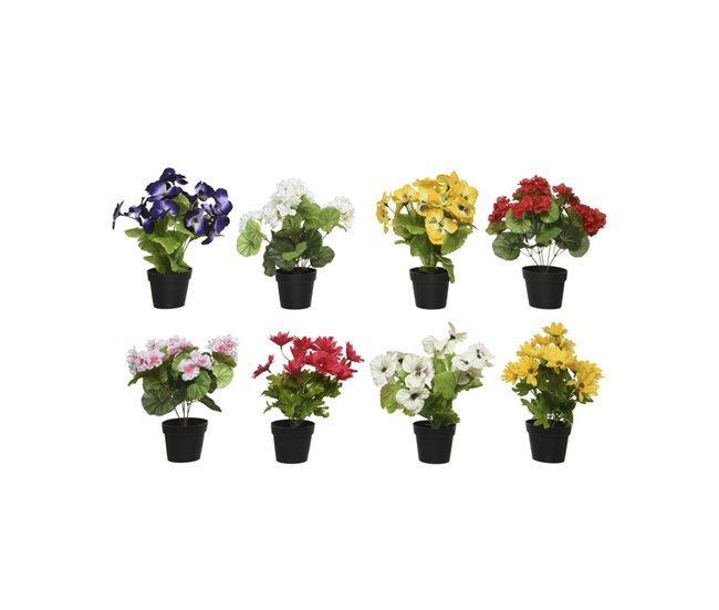 Planta ALLEGRA 20cm colores surtidos Surtido