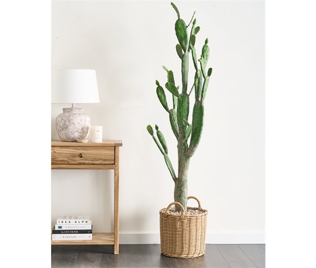 Beliani Planta artificial OPUNTIA CACTUS Verde