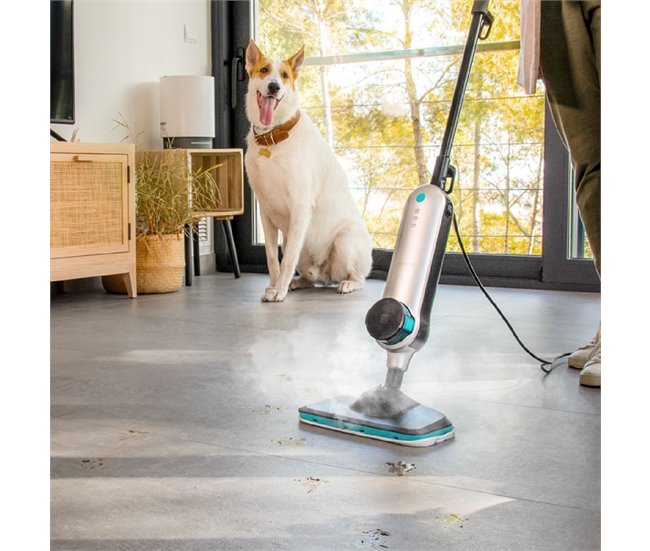 Cecotec Vaporeta vertical Hydrosteam 3030 Active Negro/ Gris