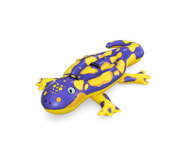Flotador Hinchable Multicolor
