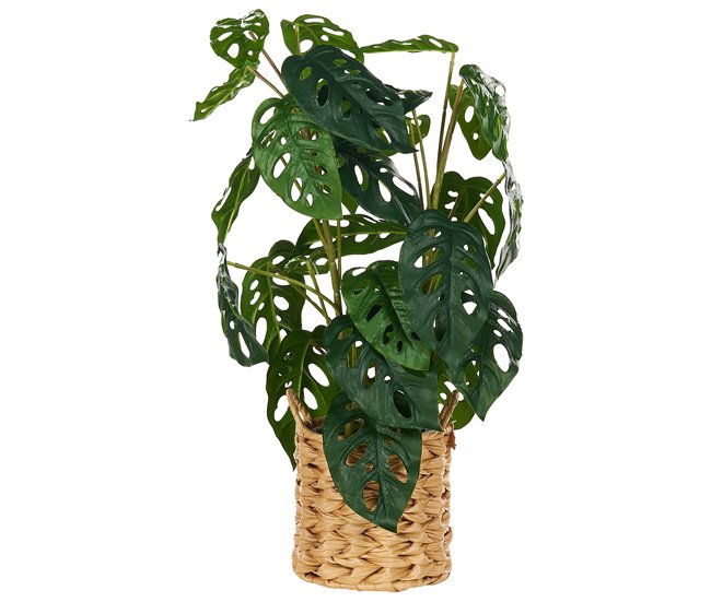 Beliani Planta artificial MONSTERA ADANSONII Verde