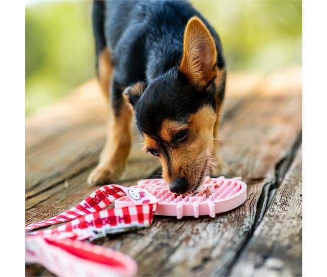 Comedero para Perro Rosa