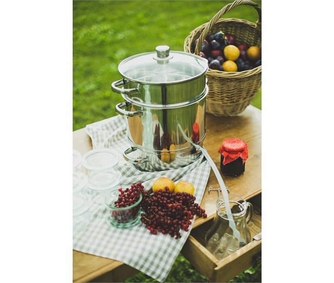 Extractor 342711 Plateado