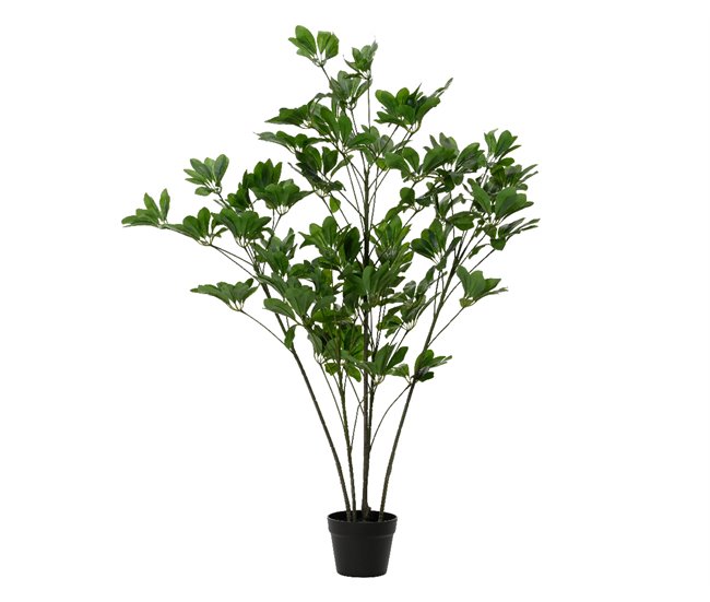 Planta artificial SCHEFFLERA marca EVERLANDS FLOWERS AND PLANTS Verde