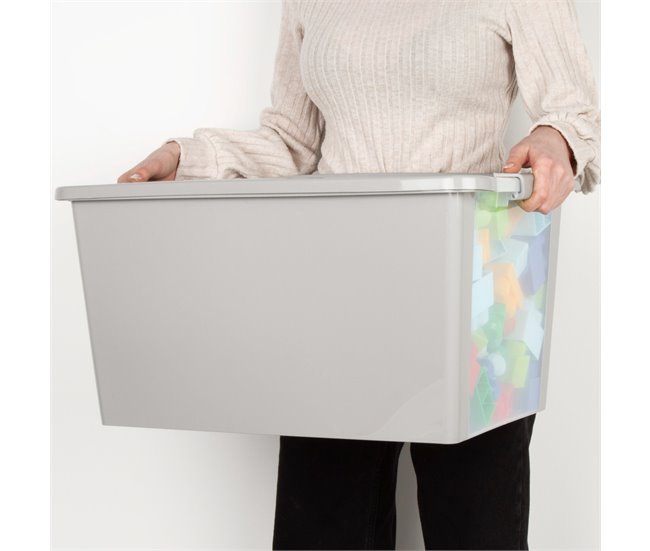 Curver Caja de almacenaje con tapa Bi-Box 40L Gris