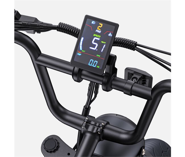 Bicicleta Eléctrica ENGWE M1 EU -  250W Batería 48V15.6AH Negro