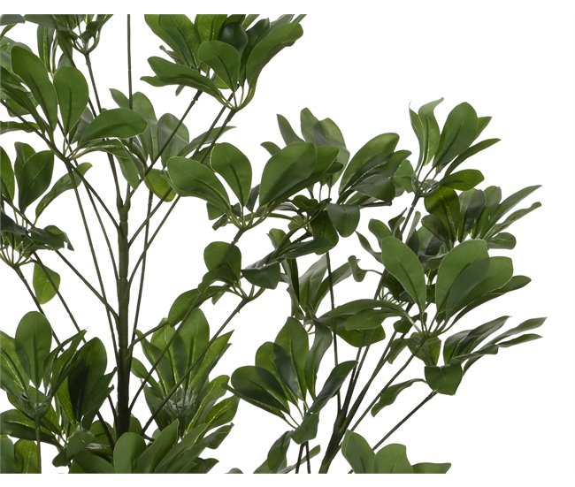 Planta artificial SCHEFFLERA marca EVERLANDS FLOWERS AND PLANTS Verde