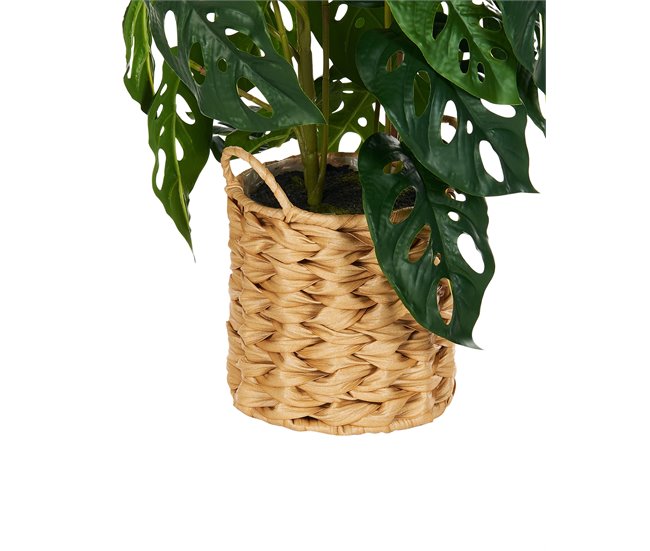 Beliani Planta artificial MONSTERA ADANSONII Verde