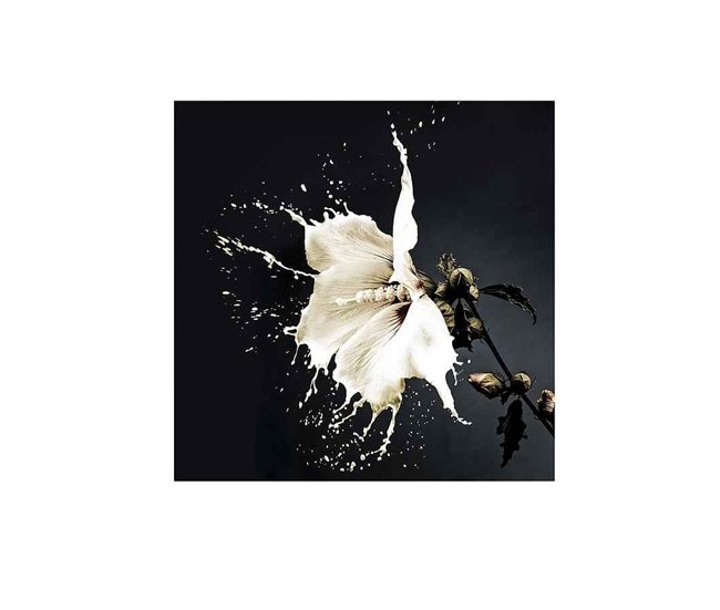 Fotografía Impresa Cristal Serie Splash Blanco