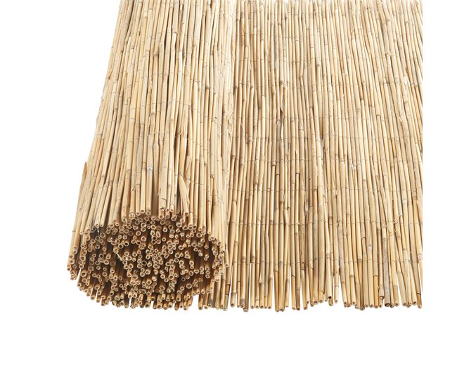 Cañizo Abbateggio para ocultación caña 