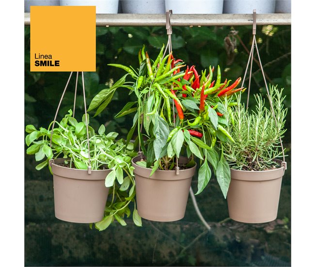 5 Macetas cilíndricas Ø 10 cm con ganchos Antracita