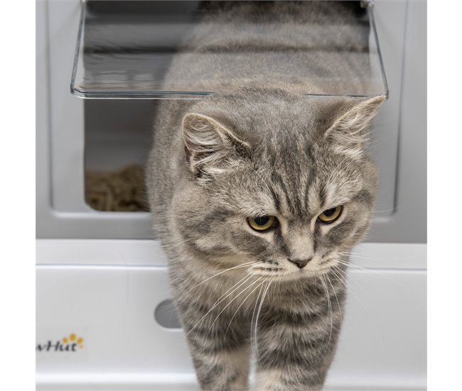 Caja de Arena PP PawHut, mascotas - accesorios para gatos Gris