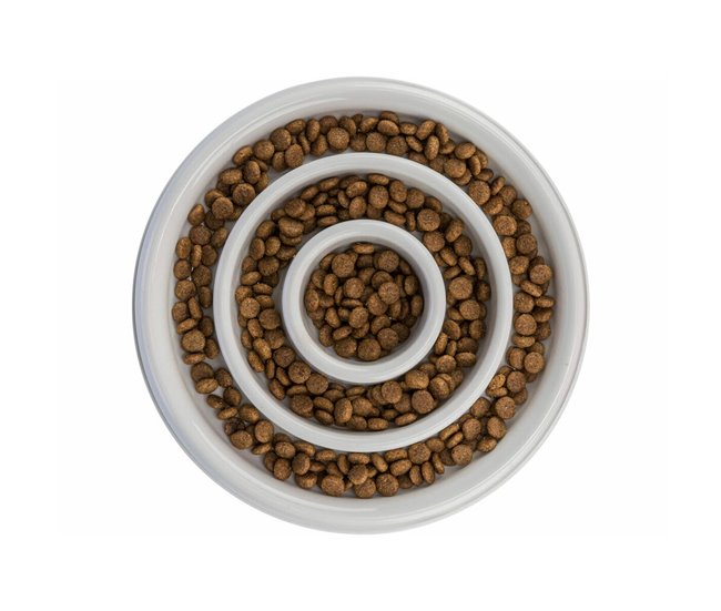 Comedero para Perro Slow Feeding Gris