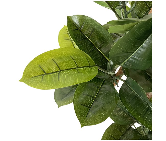 Acomoda Textil – Planta Artificial con Macetero. (Fycus Lyrata) Verde