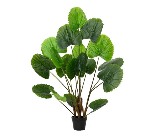 Planta artificial LICUALA marca EVERLANDS FLOWERS AND PLANTS Verde