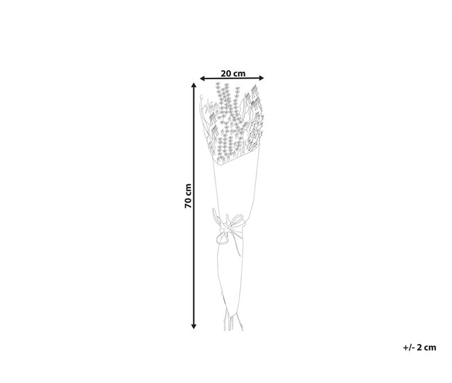 Beliani Ramo de flores secas NAWARRA Natural