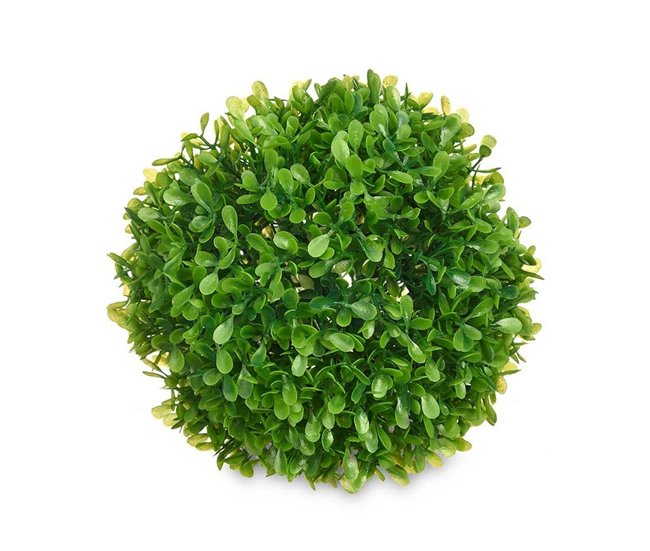 Planta Decorativa Verde