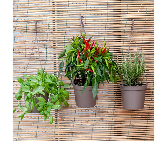 5 Macetas cilíndricas Ø 10 cm con ganchos Antracita