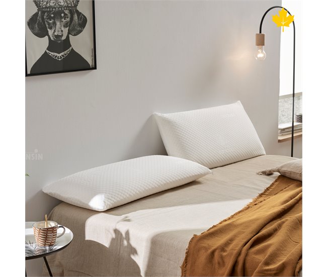 Pack Colchon + Almohada Visco + Somier Descansin | Ideal Personas con Dolores de Espalda, Silencioso 
