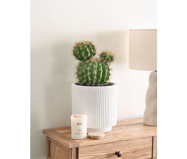 Beliani Planta artificial BALL CACTUS Verde