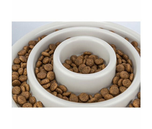 Comedero para Perro Slow Feeding Gris