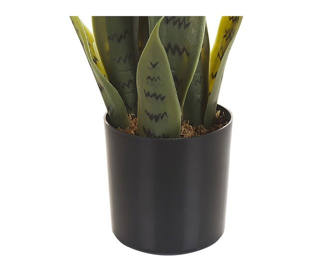 Beliani Planta artificial SNAKE PLANT Verde