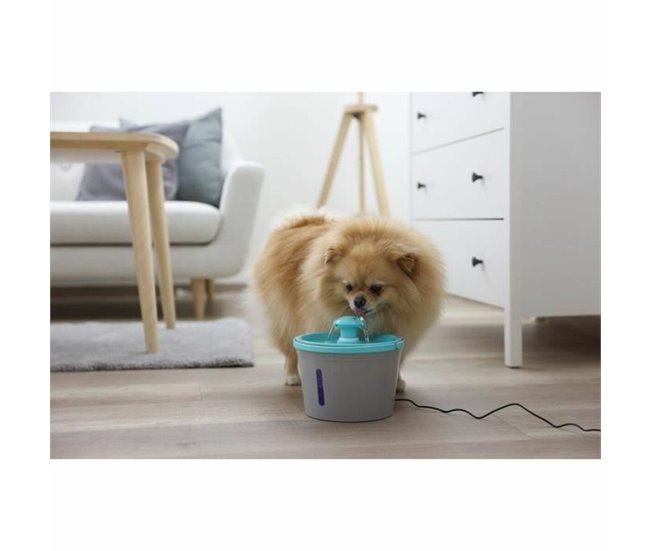 Fuente para Mascotas Azul