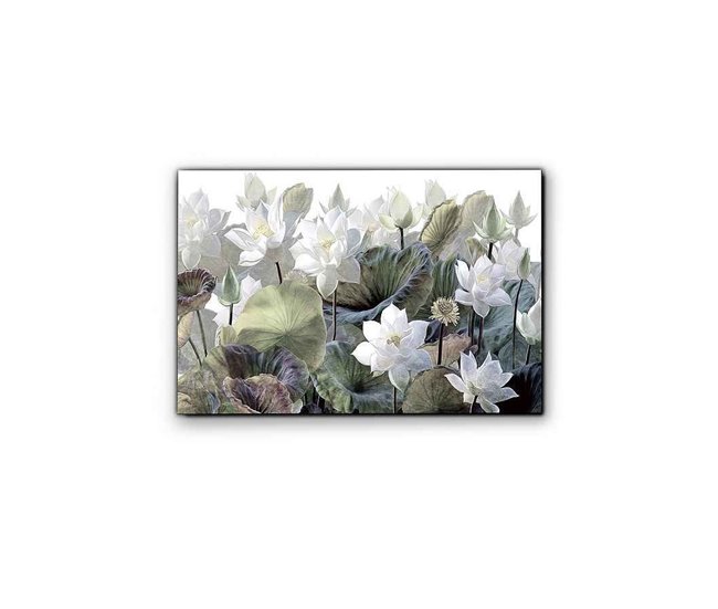 Fotografía Impresa Cristal Serie Nenufares Verde