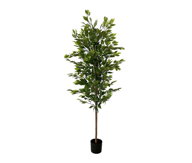 Acomoda Textil – Planta Artificial con Macetero (Ficus) Verde