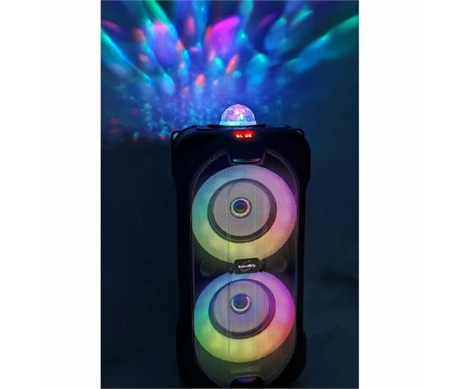 Altavoz Bluetooth con Micrófono Karaoke Negro