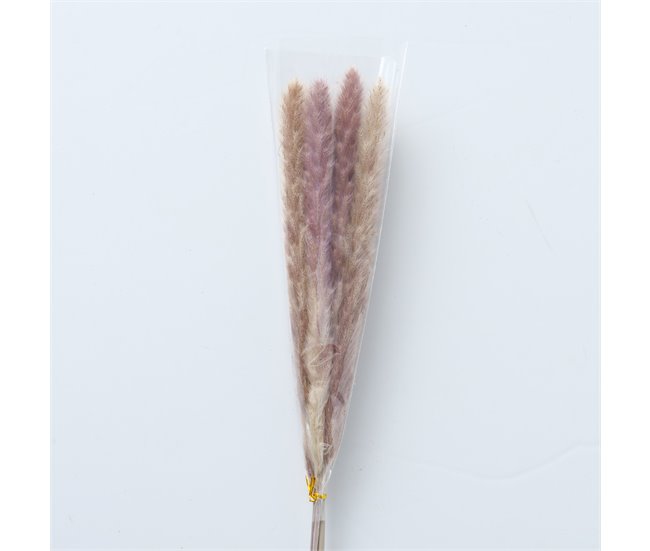 Ramillete floral PAMPA natural 85cm marca BOLTZE  Natural