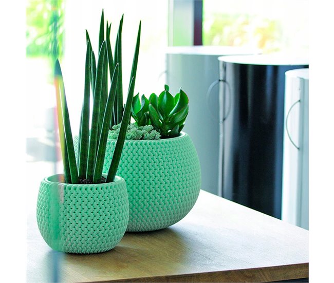 2x Maceta redonda con deposito Splofy Bowl Marron Claro