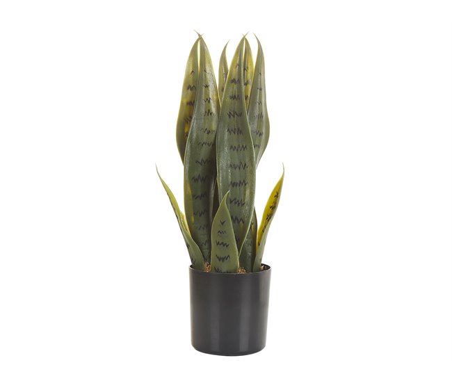 Beliani Planta artificial SNAKE PLANT Verde
