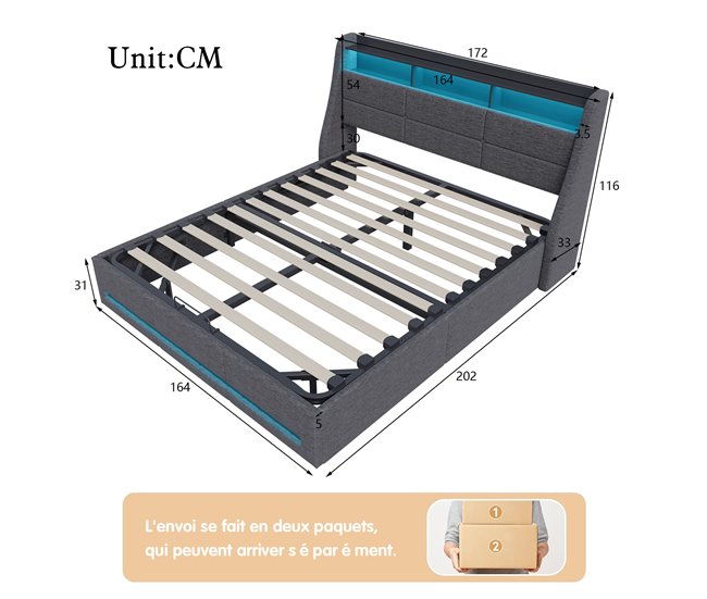 Cama baúl con somier, cama baúl conerto USB tipo C, iluminación LED 172x202 Gris