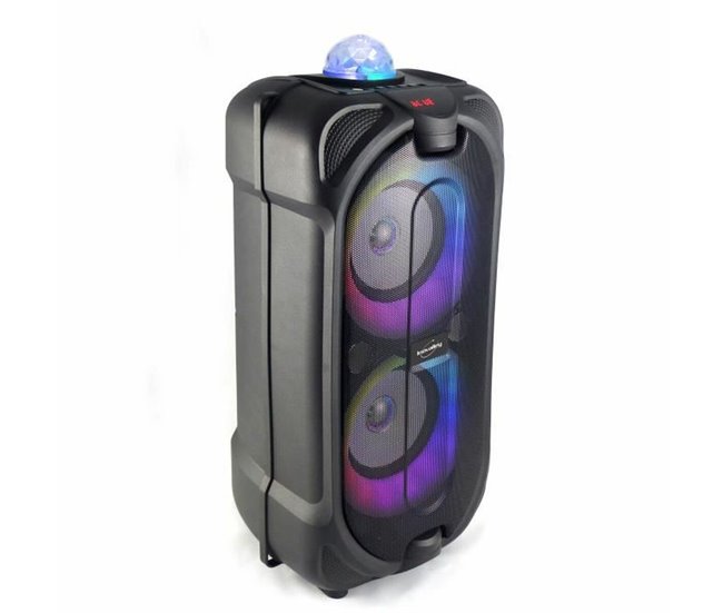 Altavoz Bluetooth con Micrófono Karaoke Negro