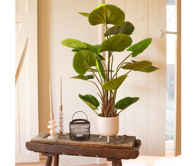Planta artificial LICUALA marca EVERLANDS FLOWERS AND PLANTS Verde