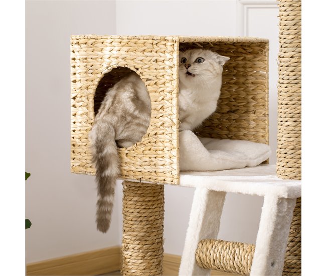 Árbol para Gatos Aglomerado de Madera, Totora, Poliéster PawHut Marron
