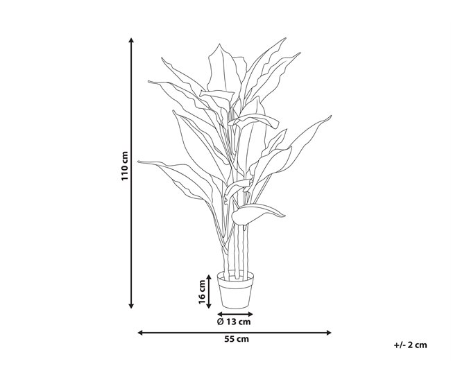 Beliani Planta artificial DIEFFENBACHIA Verde