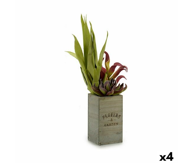 Planta Decorativa Flowers Garden Marron