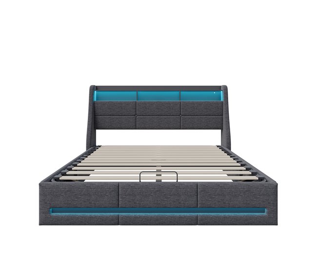 Cama baúl con somier, cama baúl conerto USB tipo C, iluminación LED 172x202 Gris