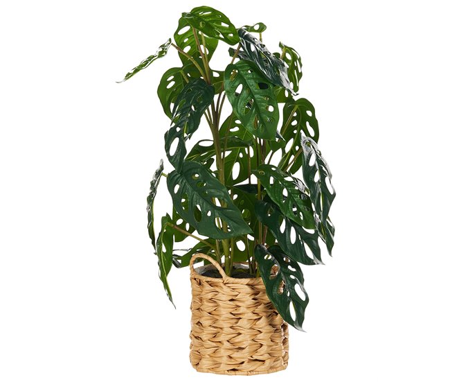Beliani Planta artificial MONSTERA ADANSONII Verde