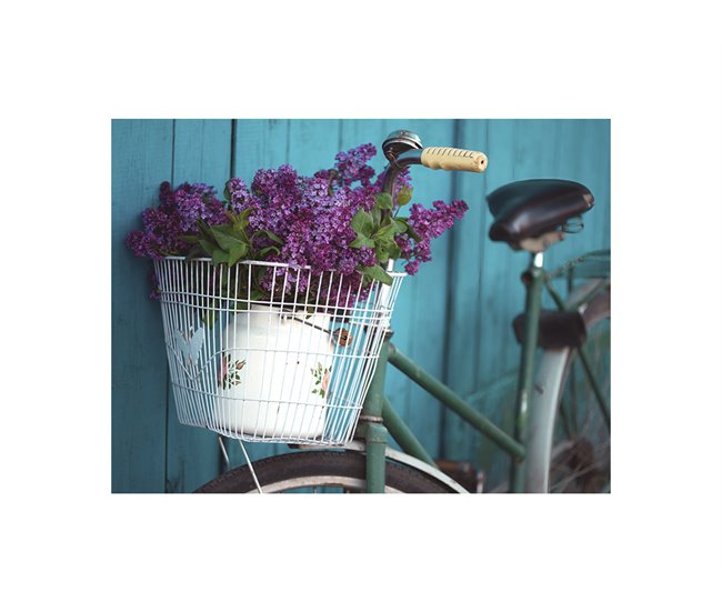 Canvas BICYCLE FLOWERS marca MARCO MUEBLE Multicolor