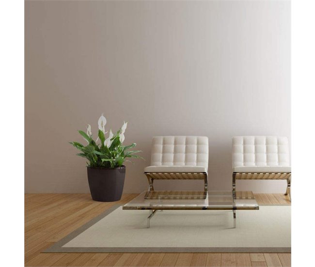 Macetero Magnolia 360 Mm Marron