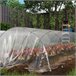 Cubierta de Invernadero Polipropileno Outsunny Cubierta de Invernadero Polipropileno Outsunny Transparente