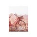 Pintura original BICYCLE marca MARCOMUEBLE Multicolor