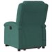 Sillón Reclinable De Masaje Elevable Verde Oscuro