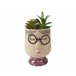 Planta CRISTEL marca EVERLANDS Multicolor