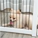 Barrera de Seguridad para Perros Madera de Pino y Acero PawHut Blanco