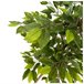 Acomoda Textil – Planta Artificial con Macetero (Ficus) Verde